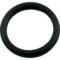 Polaris Quick Disconnect Universal Wall Fitting O-ring #650500